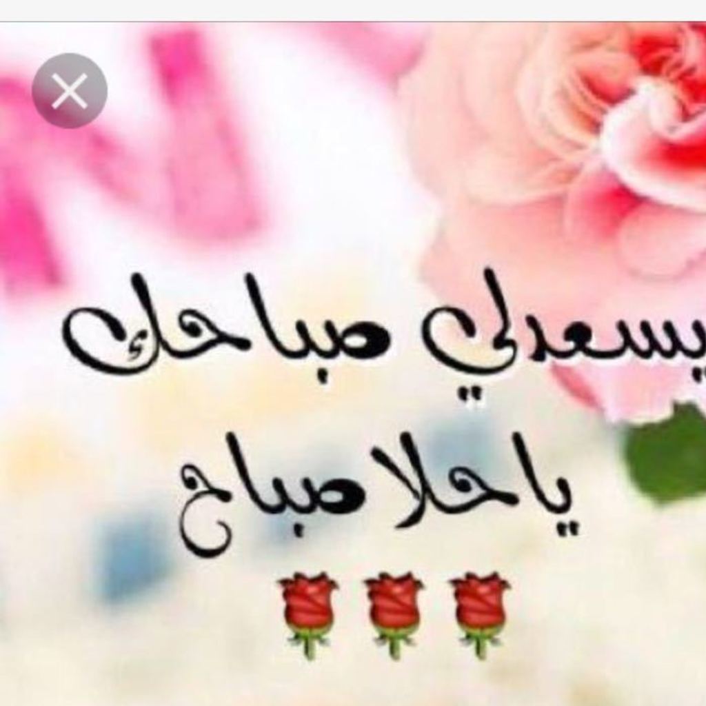 احلا صباح لاحلا حبيب - حبيبي صباحك هنا 3970 6