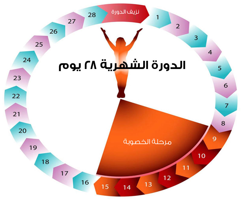 ايام الدورة الشهرية الطبيعية , كيف يمكن لي معرفة ايام الدورة الطبيعية