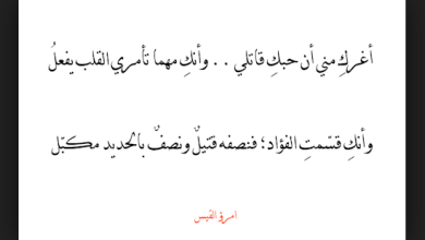 قصيدة شعرية عن العلم 3424 2