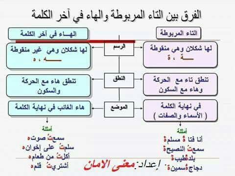 كلمات تنتهي بحرف الهاء - العديد من الكلمات اخرها حرف الهاء 6247 1