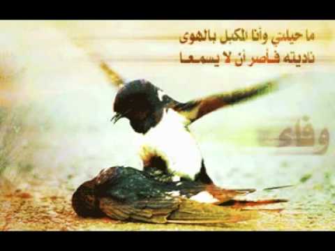 قصيدة حزينة عن الموت - الحزن علي الفراق شئ صعب 4072 14