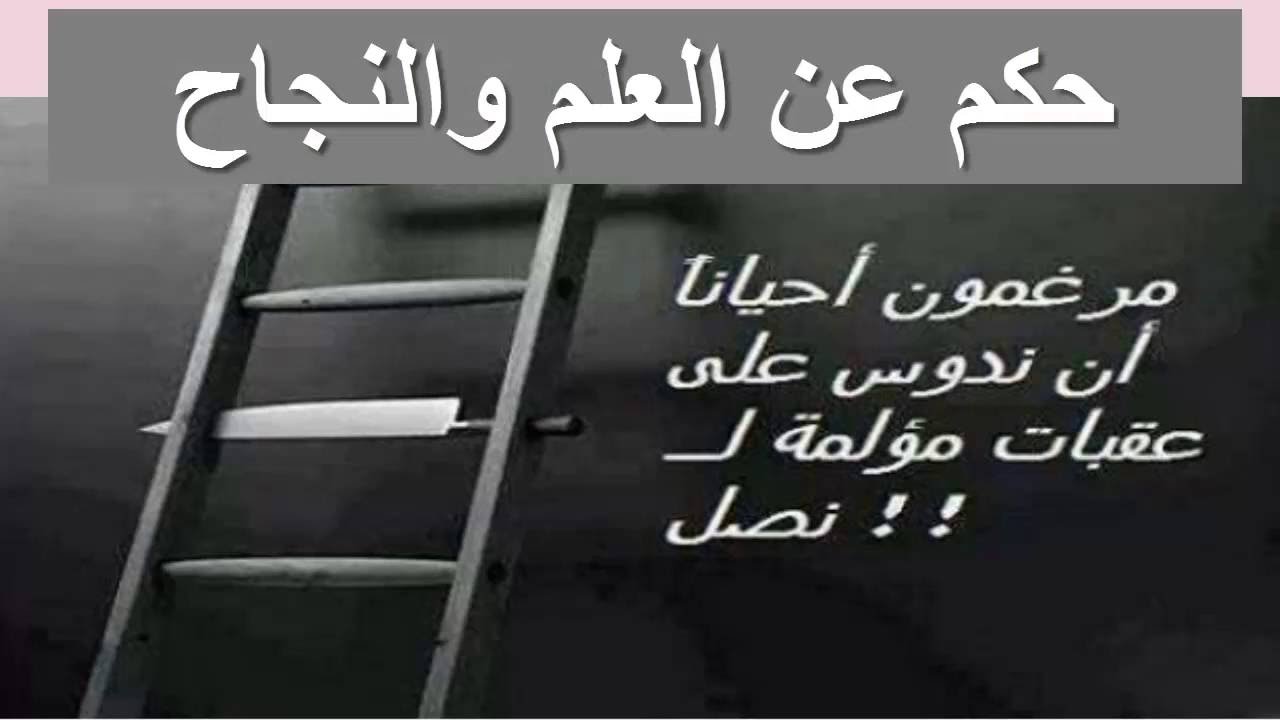 حكمة اليوم عن العلم , اقوال ماثوره عن العلم