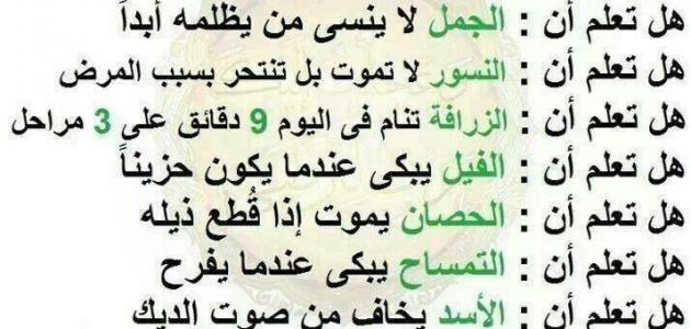 معلومات ثقافية مفيدة - حاجات هتعرفها لاول مره في حياتك 967 1