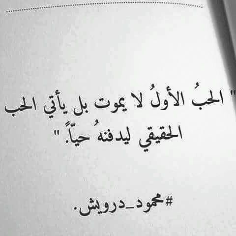 احلى كلام حب وغزل 3562 11