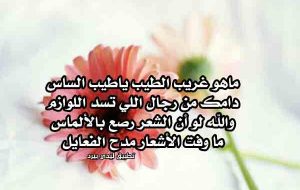 ابي قصيدة مدح