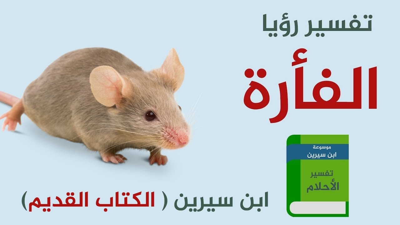 حلم الفار في المنام , تفسيرات مخيفه لحلم الفار