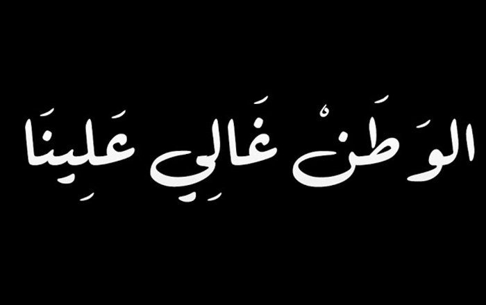 تعبير عن حب الوطن - الفداء للوطن 1169 7