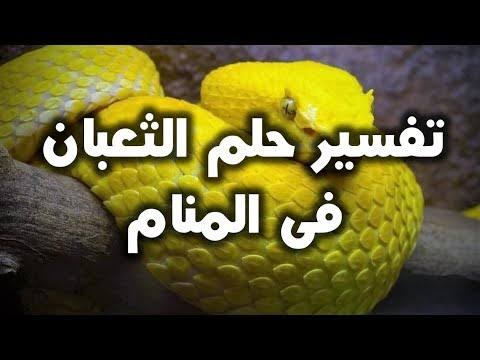 رايت في المنام ثعبان اصفر , ما معني وتفسير هذه الرؤية