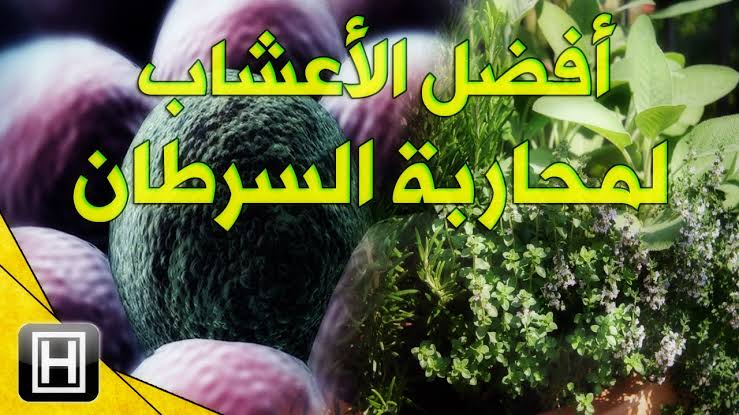 علاج سرطان المثانة بالاعشاب , كيف تتخلص من السرطان و انت في المنزل