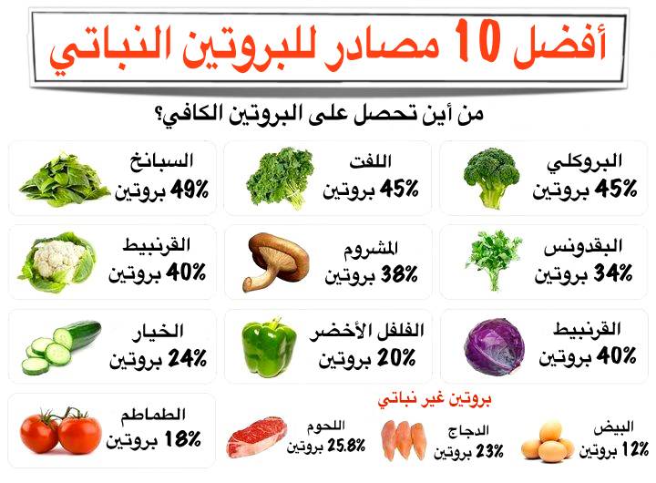 ما هو رجيم البروتين , نصائح يجب عليك اتباعها مع رجيم البروتين