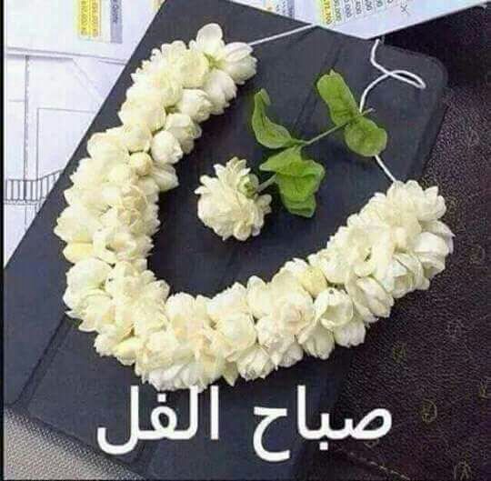 صباح الخير الجميل , ارقي العبارات لصباح الخير