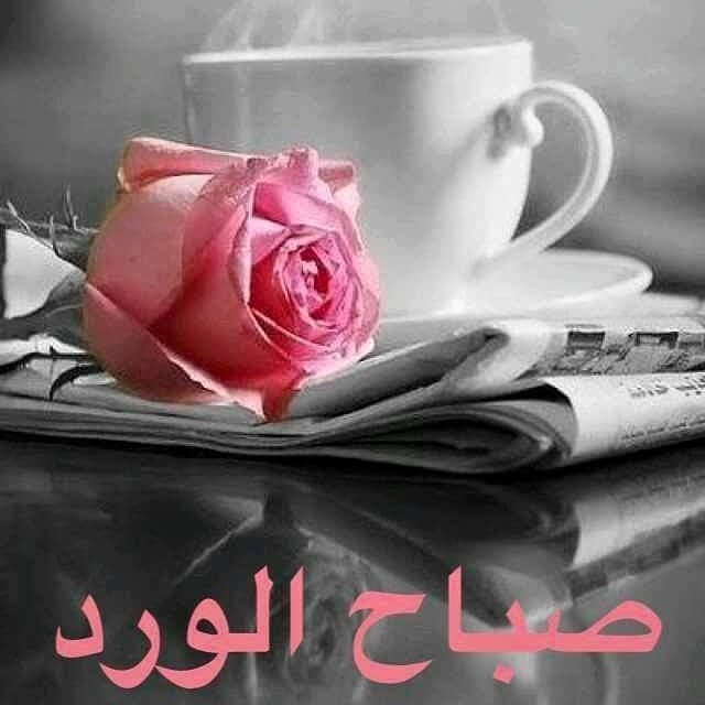 احلا صباح لاحلا حبيب - حبيبي صباحك هنا 3970 7