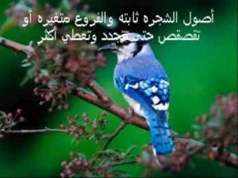 خاطرة عن الطبيعة - اروع واجمل خواطر عن الطبيعة مع الصور 315 13