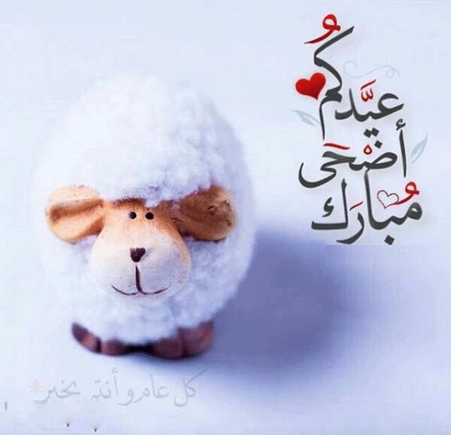 صور تهانى بعيد الاضحى - احلي صور للتهنئة بالعيد الاضحي 3173 9