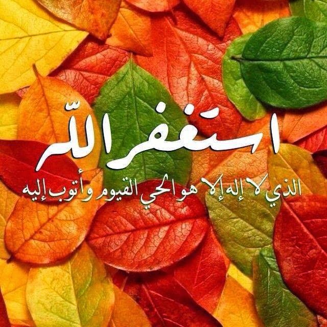 صور طبيعيه اسلاميه 3626 3