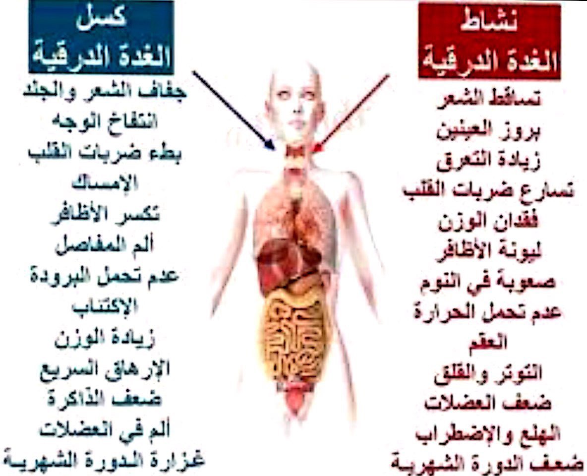 اعراض كسل الغده , تعرف على اكثر الاعراض شيوعا لكسل الغدة