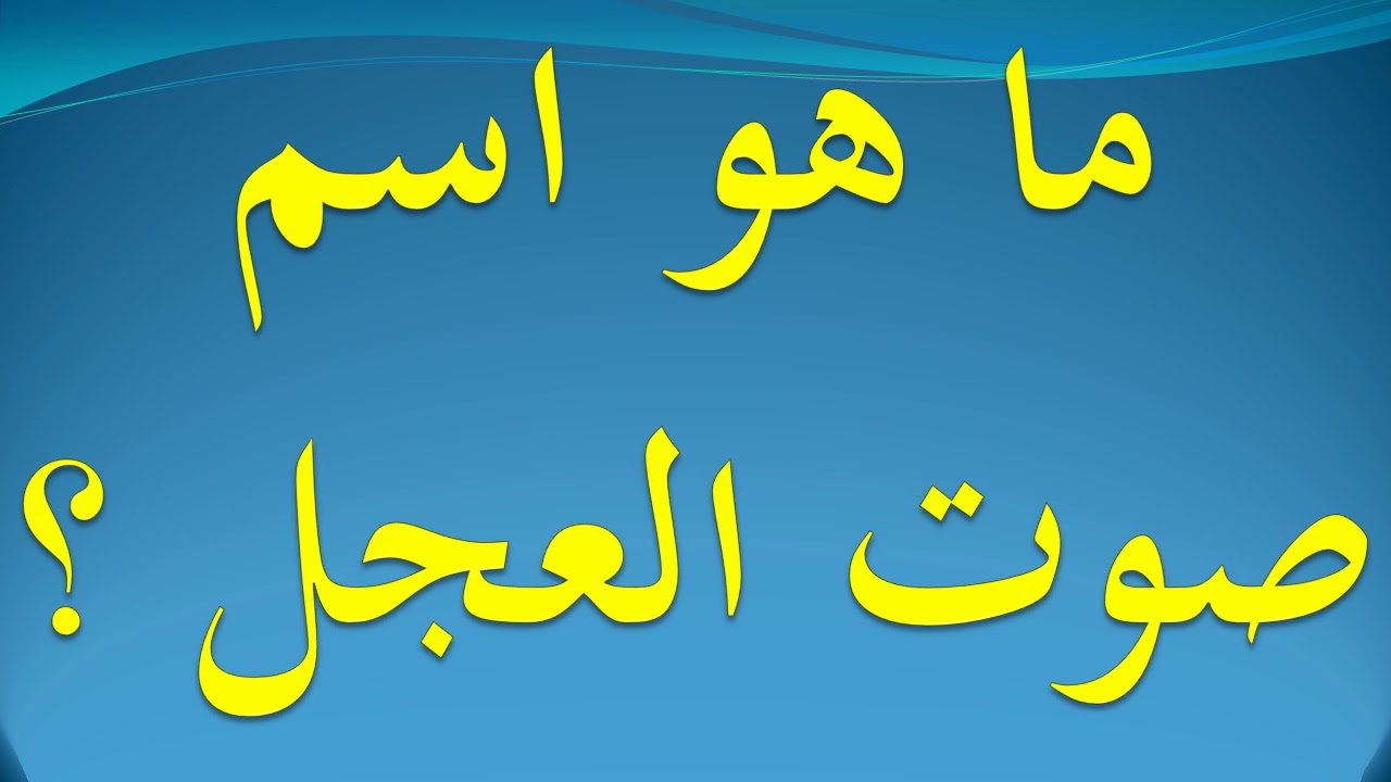 ما اسم صوت العجل , اسم صوت العجل وفوائد لحمه القيمه