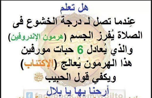 معلومات ثقافية مفيدة - حاجات هتعرفها لاول مره في حياتك 967