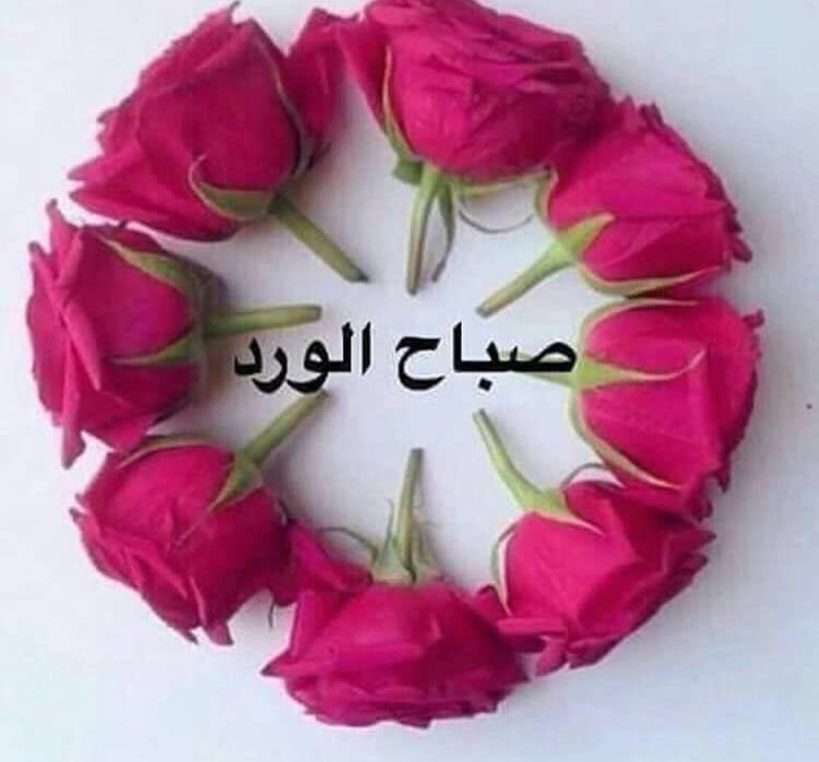 احلا صباح لاحلا حبيب - حبيبي صباحك هنا 3970 5