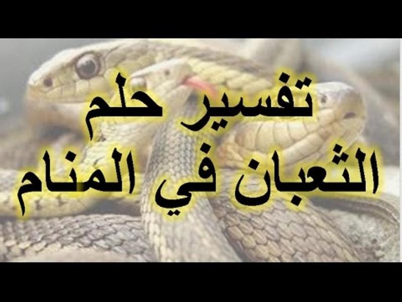 الثعبان في الاحلام , هل الثعبان فى حلمى شر ام خير