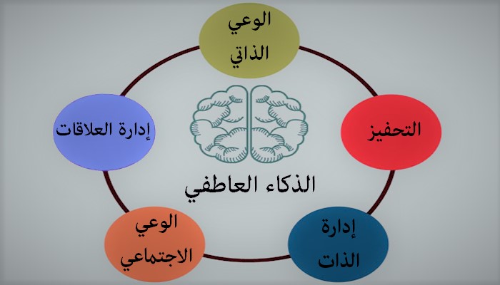 ما هو الذكاء العاطفي , تعالي نعرف يعني ايه الذكاء العاطفي و ازاي ممكن نستخدمه