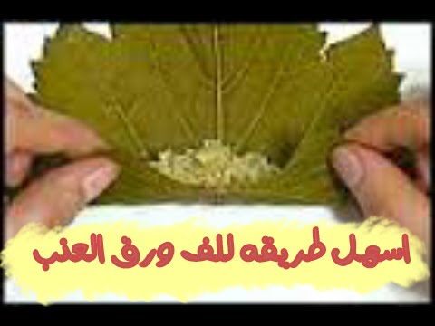 طريقة لف ورق العنب , احلي واسرع طريقة لست البيت