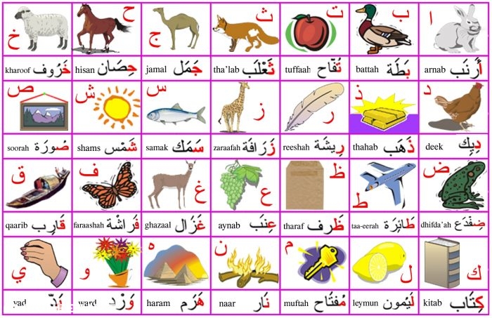 عدد حروف اللغة العربية